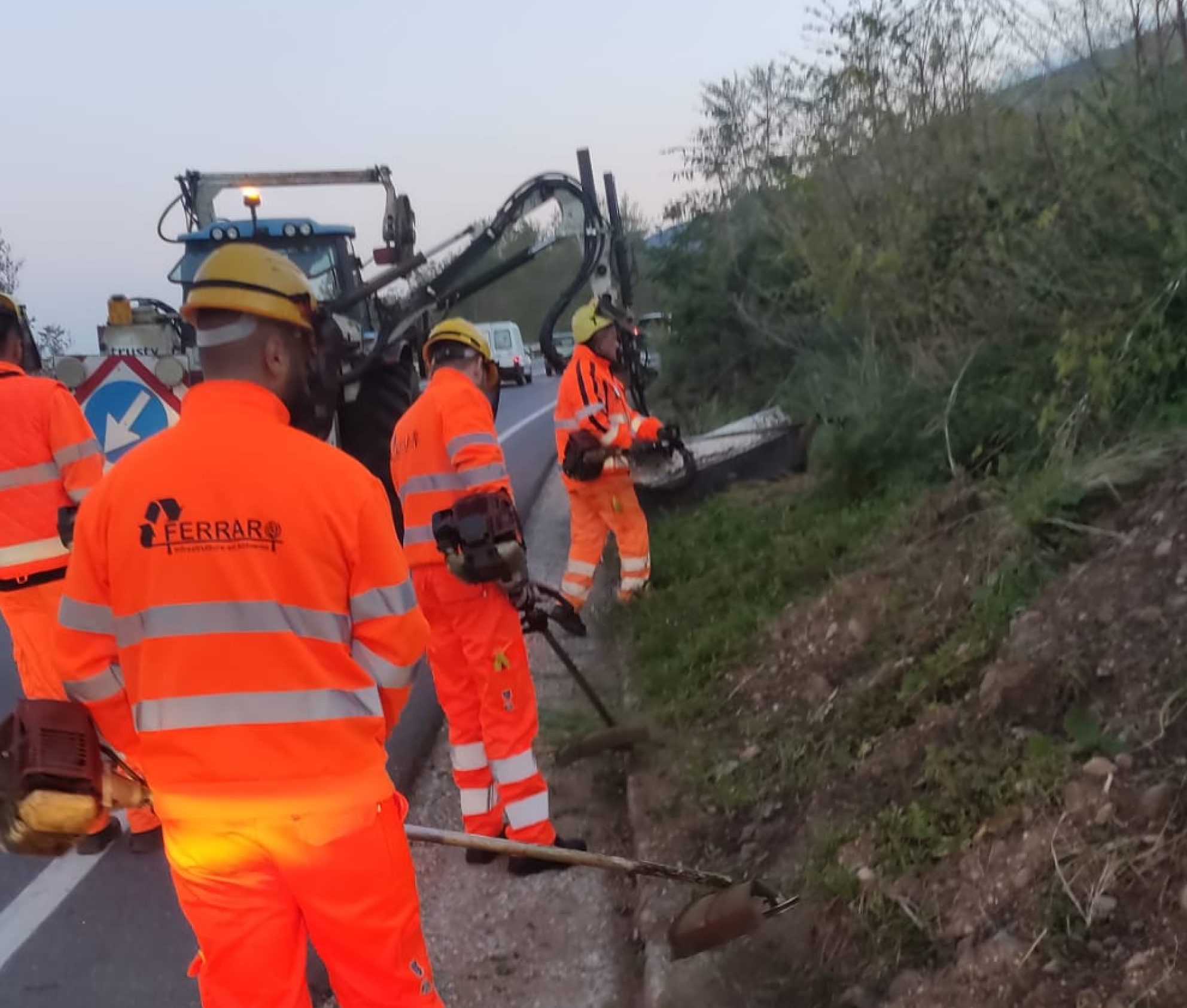 INTERVENTI SUL CAMPO