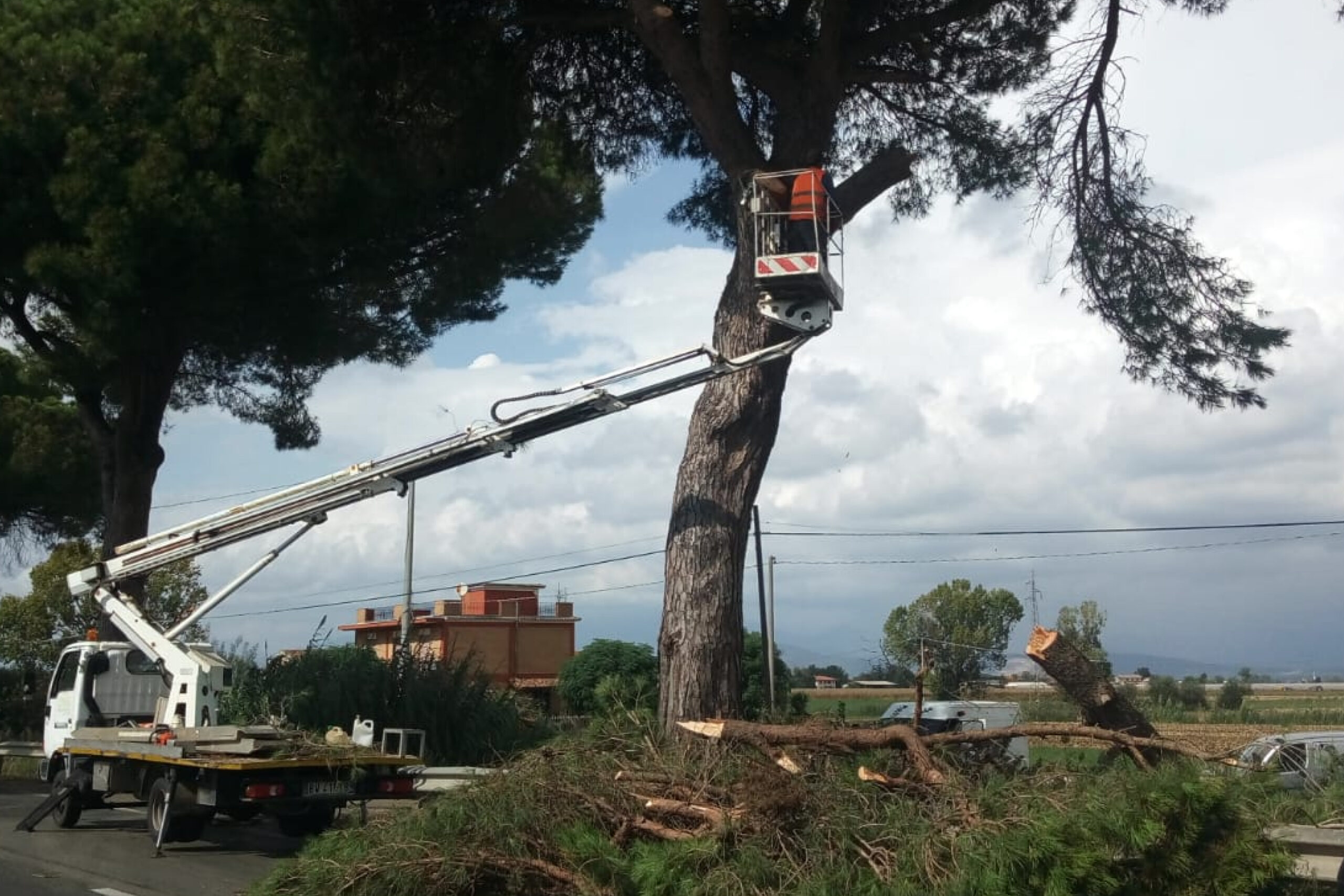 INTERVENTI SUL CAMPO